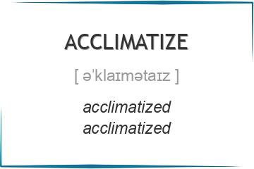 acclimatize 3 формы глагола