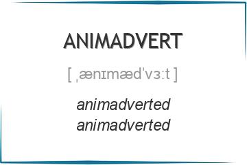 animadvert 3 формы глагола