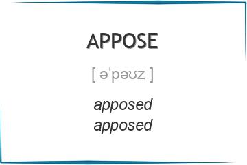 appose 3 формы глагола