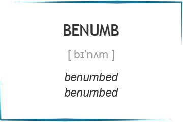 benumb 3 формы глагола