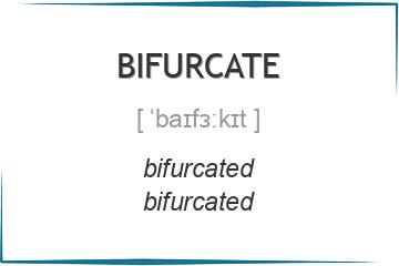 bifurcate 3 формы глагола