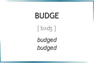 budge 3 формы глагола