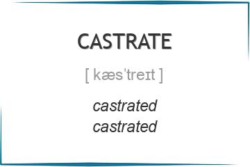castrate 3 формы глагола