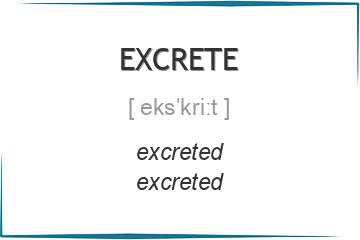 excrete 3 формы глагола