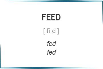 feed 3 формы глагола