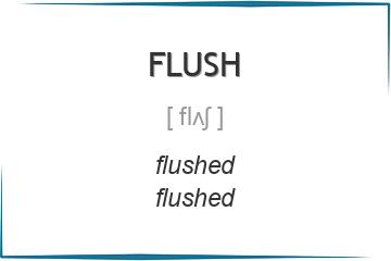 flush 3 формы глагола