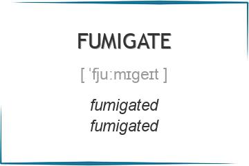fumigate 3 формы глагола