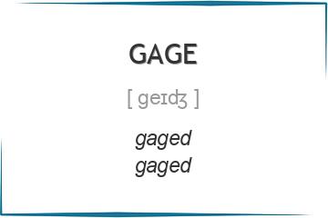 gage 3 формы глагола