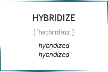 hybridize 3 формы глагола