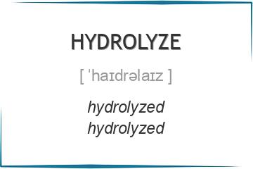 hydrolyze 3 формы глагола