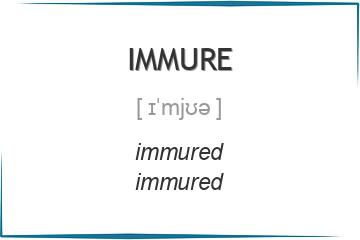 immure 3 формы глагола