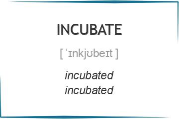 incubate 3 формы глагола