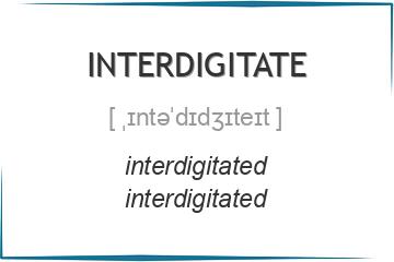 interdigitate 3 формы глагола