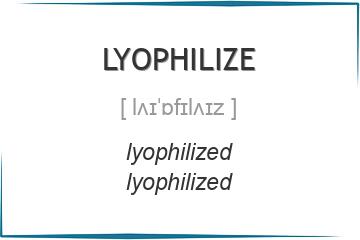lyophilize 3 формы глагола