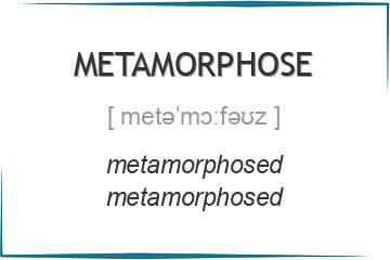 metamorphose 3 формы глагола