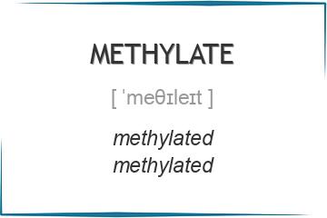 methylate 3 формы глагола