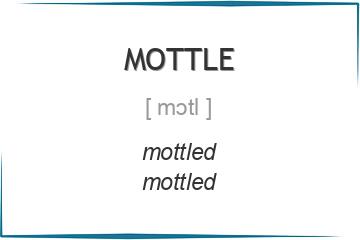 mottle 3 формы глагола