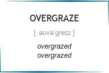 overgraze 3 формы глагола