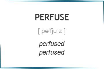 perfuse 3 формы глагола
