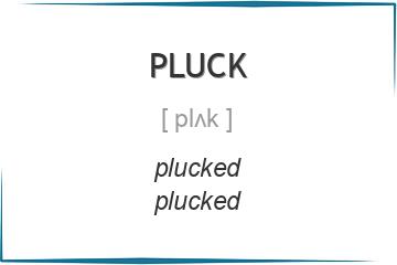 pluck 3 формы глагола