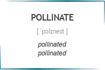 pollinate 3 формы глагола