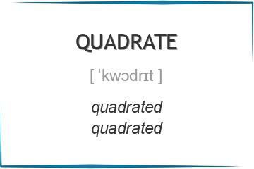 quadrate 3 формы глагола