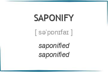 saponify 3 формы глагола