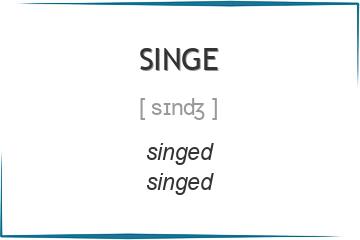 singe 3 формы глагола