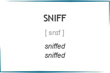 sniff 3 формы глагола