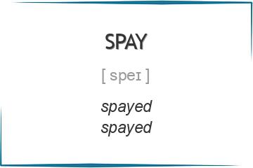 spay 3 формы глагола