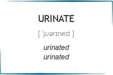 urinate 3 формы глагола