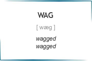 wag 3 формы глагола