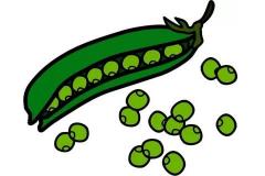 contain 3 формы глагола