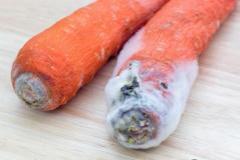 rot 3 формы глагола