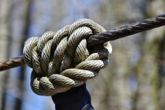 bind 3 формы глагола