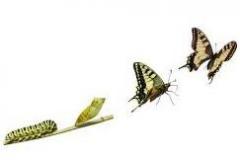 transform 3 формы глагола