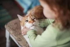 excruciate 3 формы глагола