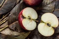 halve 3 формы глагола