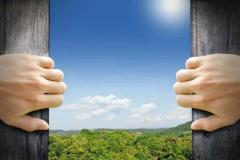 widen 3 формы глагола