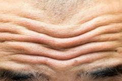 crinkle 3 формы глагола