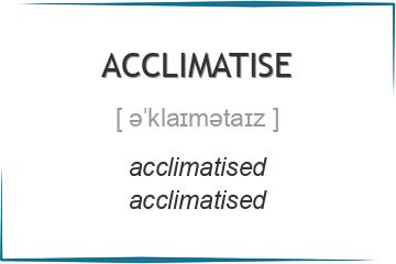 acclimatise 3 формы глагола