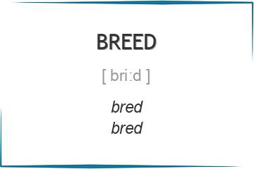 breed 3 формы глагола