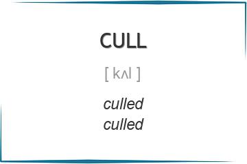 cull 3 формы глагола