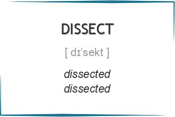 dissect 3 формы глагола