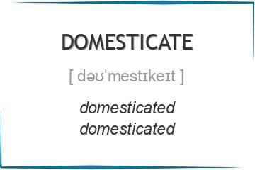 domesticate 3 формы глагола