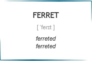 ferret 3 формы глагола