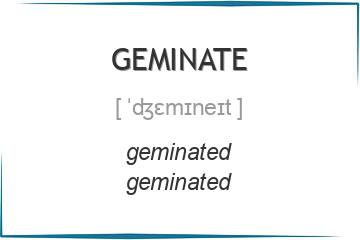 geminate 3 формы глагола