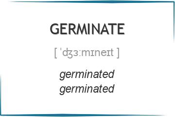 germinate 3 формы глагола
