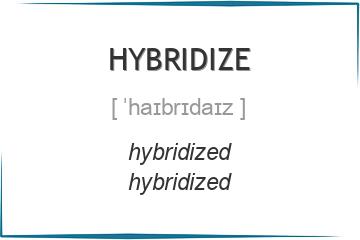 hybridize 3 формы глагола