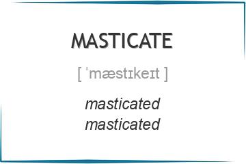 masticate 3 формы глагола